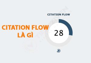 1746173742 740 Trust Flow la gi Citation Flow la gi Cach check