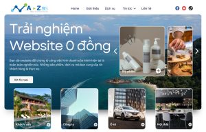 CO HOI SO HUU WEBSITE 0 DONG 66