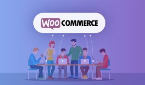 Cach cai dat va thiet lap WooCommerce don gian trong