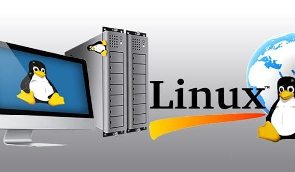 Cloud hosting Linux là dịch vụ cloud hosting được ưa chuộng hàng đầu hiện nay Cloud hosting Linux là dịch vụ cloud hosting được ưa chuộng hàng đầu hiện nay