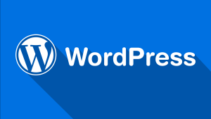 Kinh nghiem thiet ke WordPress