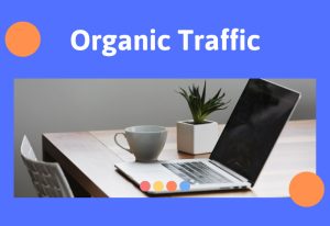 Organic Traffic la gi 5 Cach tang traffic tu nhien