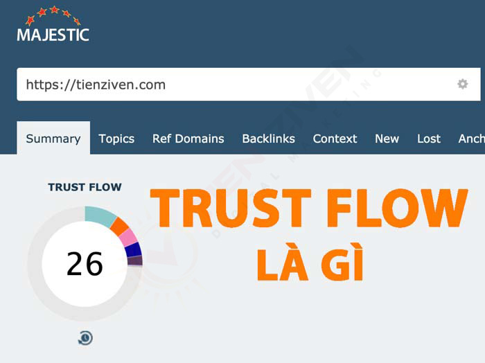 Trust Flow là gì? Citation Flow là gì? Cách check TF CF 6 tf la gi