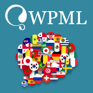 WPML Multilingual CMS WordPress Plugin