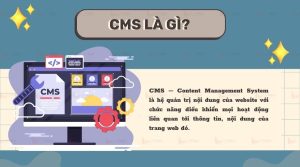 cms la gi cach lua chon cms phu hop cho doanh nghiep 2 1680020631