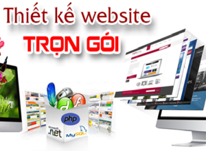 cong ty thiet ke website ban hang online