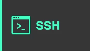 ssh big 15365524653071115959537 31 0 537 900 crop 15365524772591659771746 1686819017731654519938 0 0